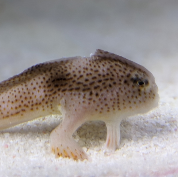 Meet your Posher, Marcus - Picture 1 of 1